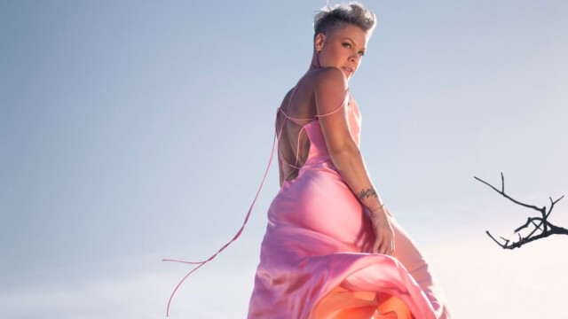 pink-trustfall pink trustfall album