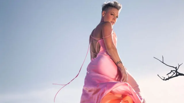 pink trustfall album