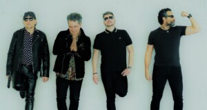 cosmetica banda