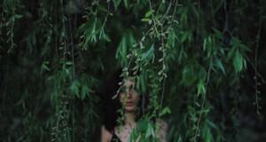 Laila Farinola