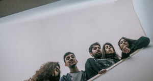 dojo mar del plata
