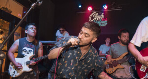 lave rat en vivo
