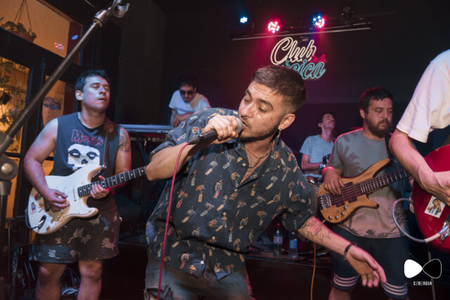 lave rat en vivo
