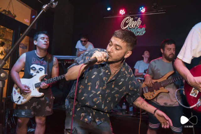 lave rat en vivo