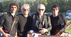 VITICO Y LOS LEONES
