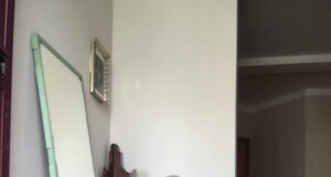 vox