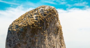view of a boulder