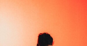 dante spinetta