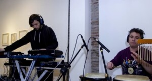 Brassica Rappa